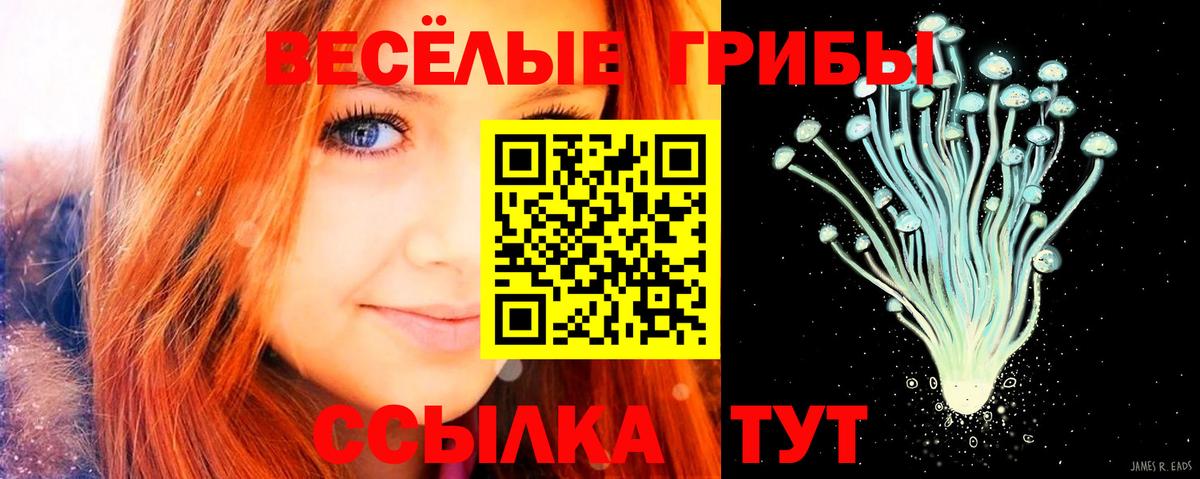 Псилоцибиновые грибы MAGIC MUSHROOMS Екатеринбург